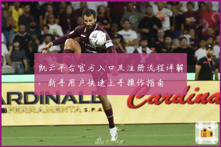 凯云平台官方入口及注册流程详解，新手用户快速上手操作指南